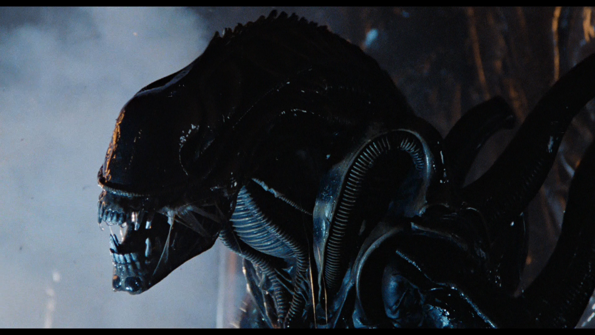 Alien: Covenant (English) full hd movie